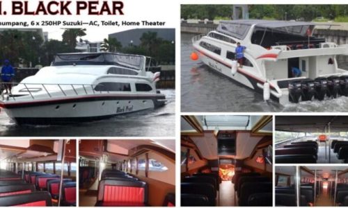 BLACK-PEARL-1-2-768x399