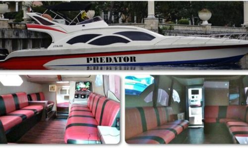 PREDATOR-1-4-768×384 PREDATOR-1-4-768x384